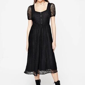 Disturbia Black Lace Midi Dress with Button Front